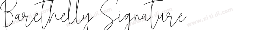 Barethelly Signature字体转换